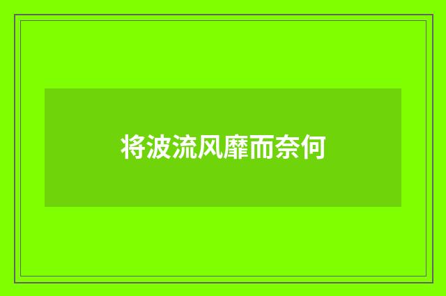 将波流风靡而奈何