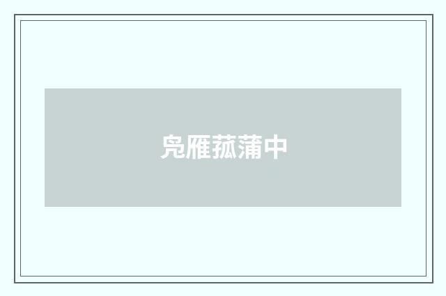 凫雁菰蒲中