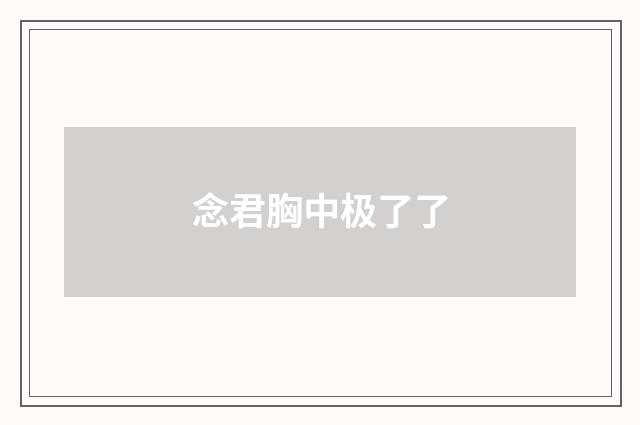 念君胸中极了了