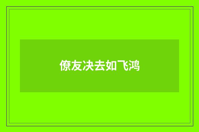 僚友决去如飞鸿