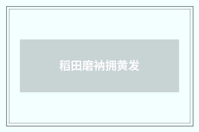 稻田磨衲拥黄发