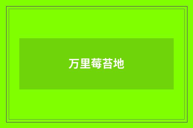 万里莓苔地