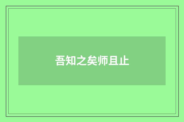 吾知之矣师且止