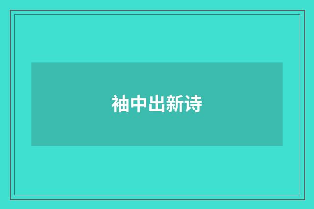 袖中出新诗