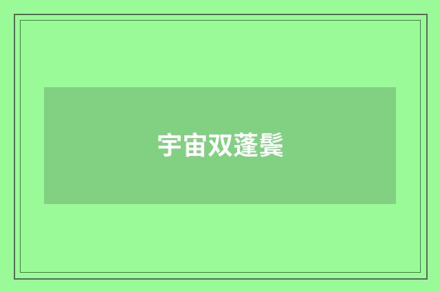 宇宙双蓬鬓