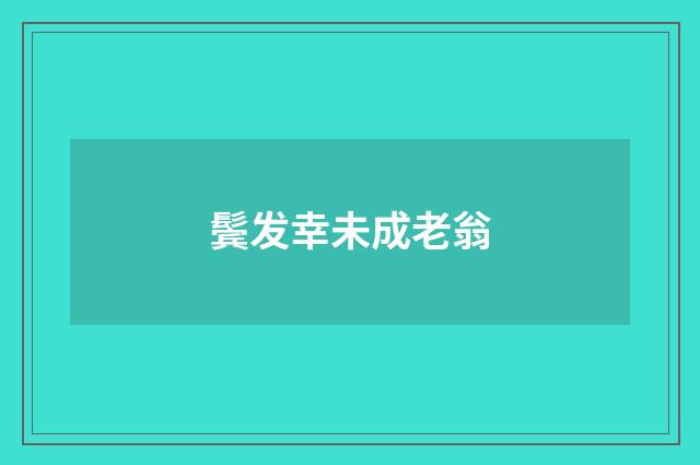 鬓发幸未成老翁