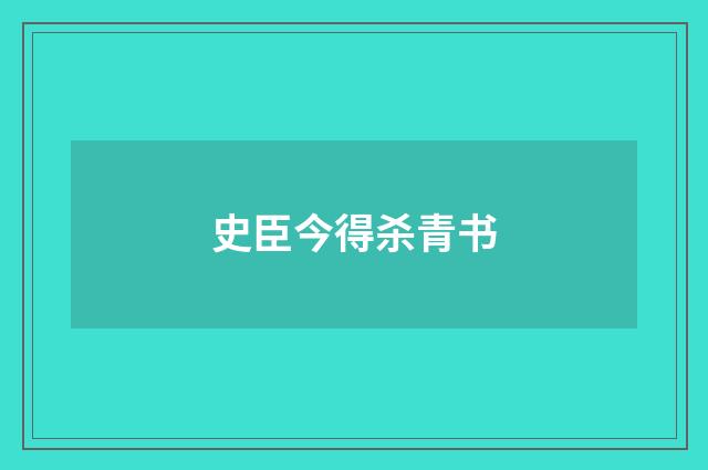 史臣今得杀青书