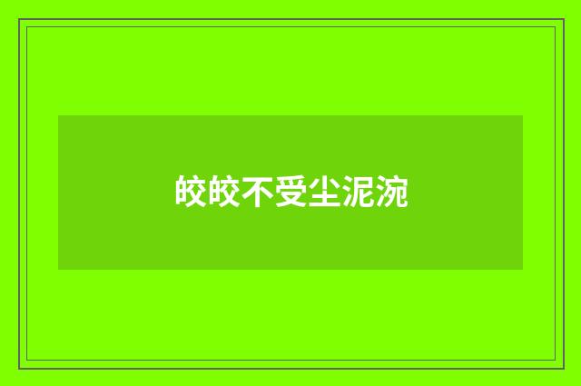 皎皎不受尘泥涴