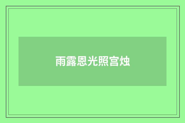 雨露恩光照宫烛