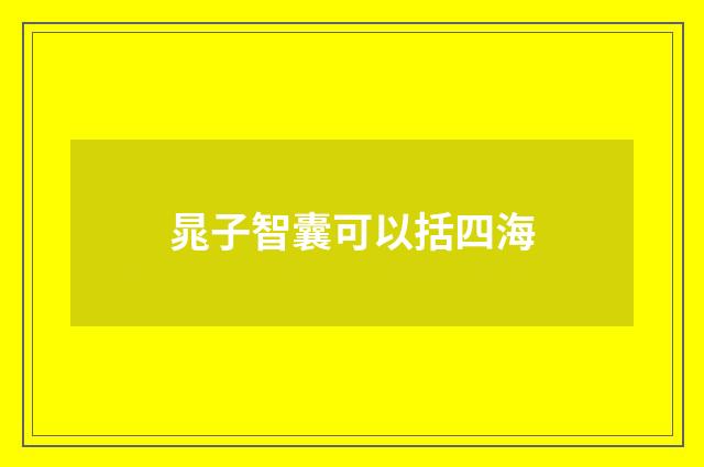 晁子智囊可以括四海