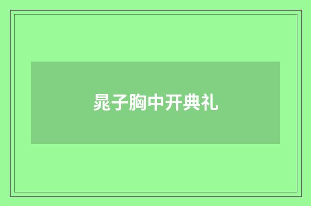 晁子胸中开典礼