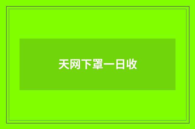 天网下罩一日收