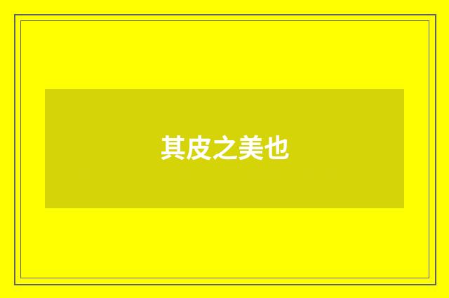 其皮之美也