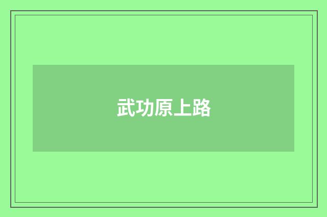 武功原上路