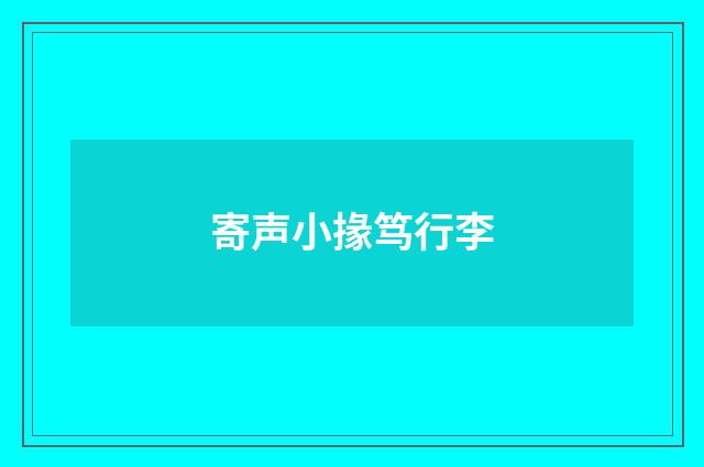 寄声小掾笃行李