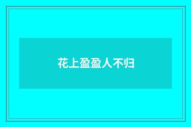 花上盈盈人不归