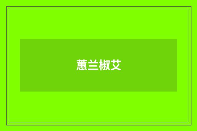 蕙兰椒艾