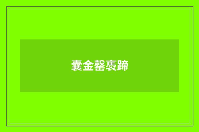 囊金罄褭蹄
