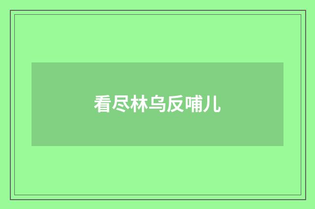 看尽林乌反哺儿