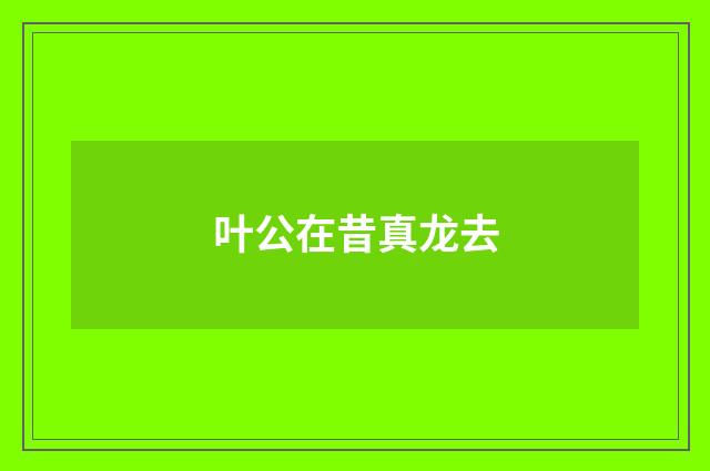 叶公在昔真龙去