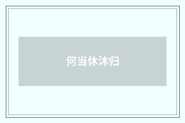 何当休沐归