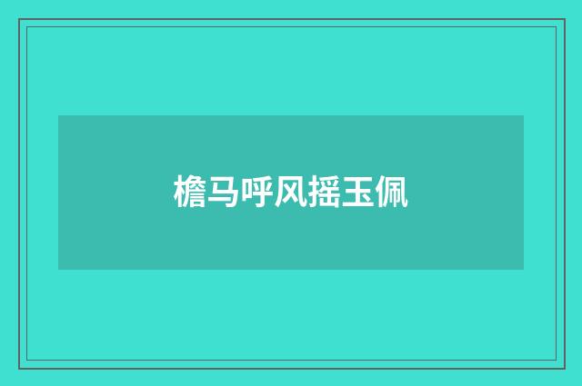 檐马呼风摇玉佩