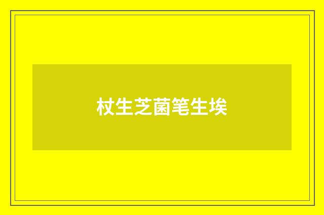 杖生芝菌笔生埃