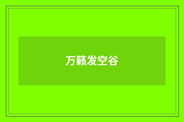 万籁发空谷