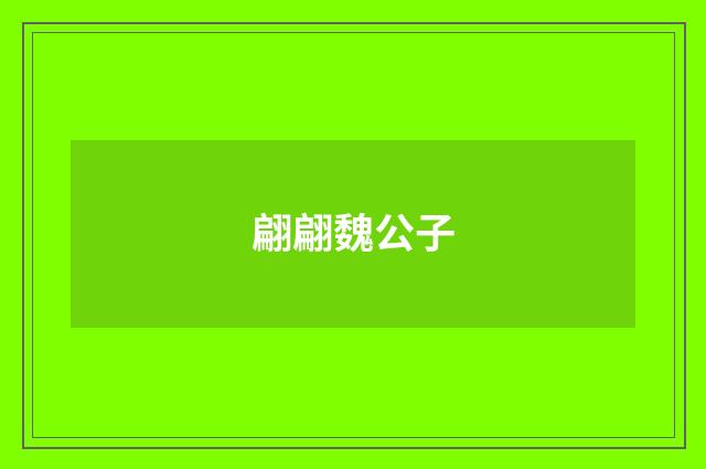 翩翩魏公子