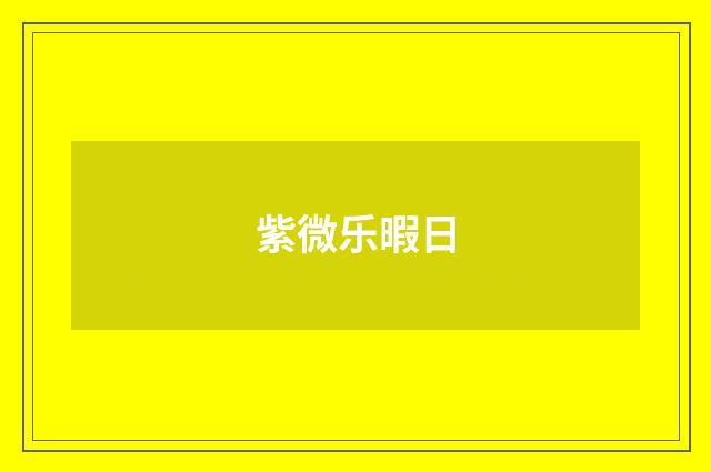 紫微乐暇日