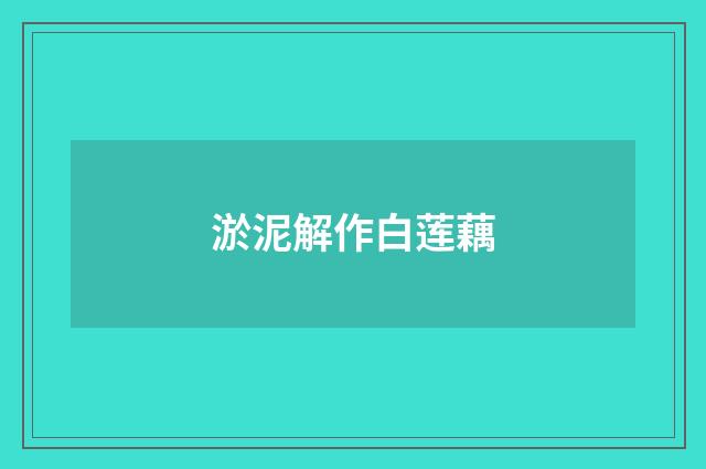 淤泥解作白莲藕