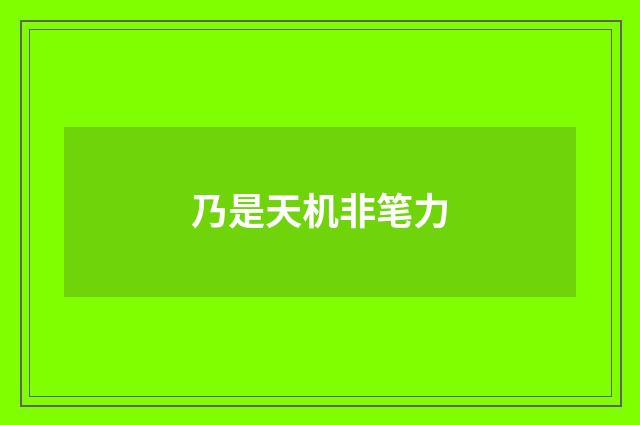 乃是天机非笔力