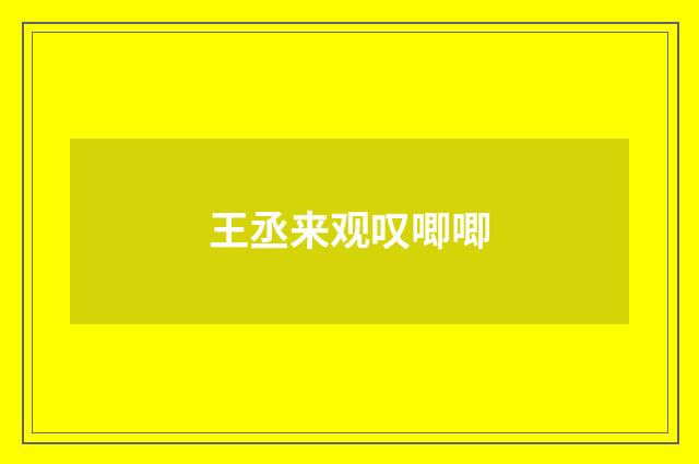 王丞来观叹唧唧
