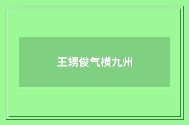 王甥俊气横九州