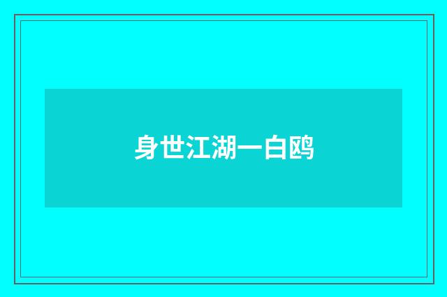身世江湖一白鸥