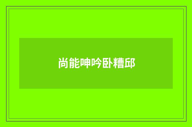尚能呻吟卧糟邱