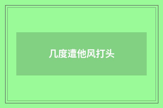 几度遭他风打头