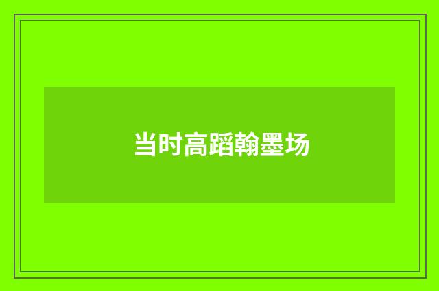 当时高蹈翰墨场