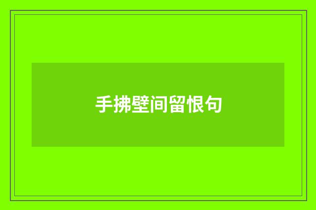 手拂壁间留恨句