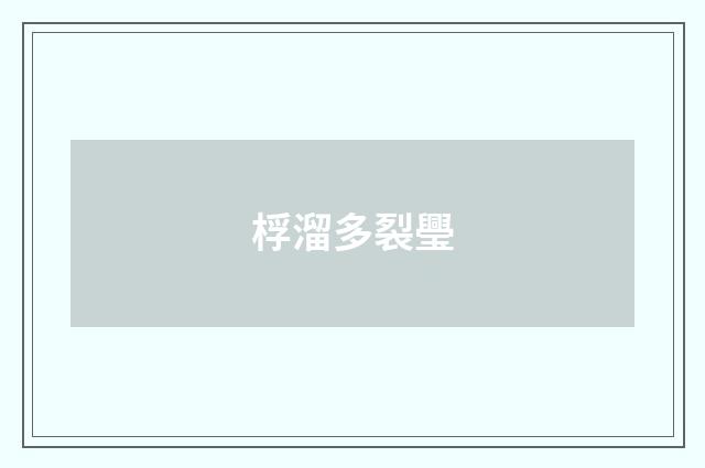 桴溜多裂璺