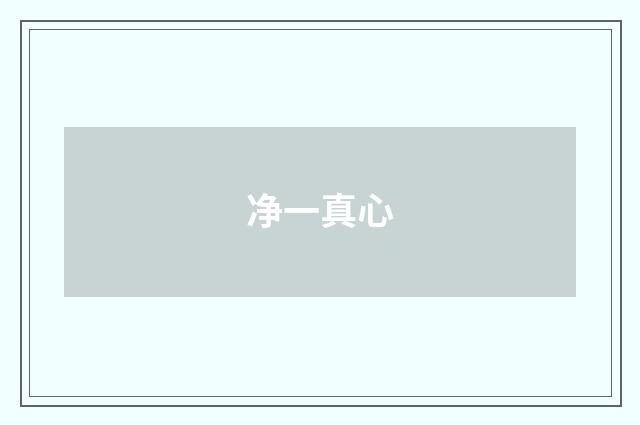 净一真心