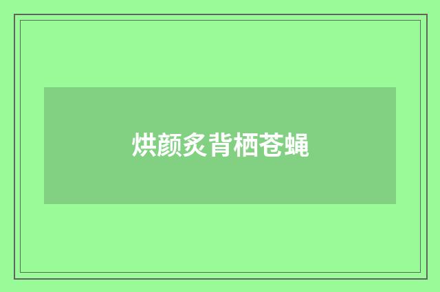 烘颜炙背栖苍蝇