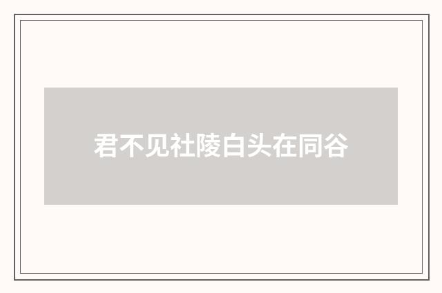 君不见社陵白头在同谷