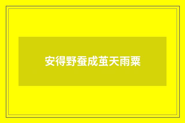 安得野蚕成茧天雨粟