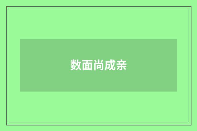 数面尚成亲