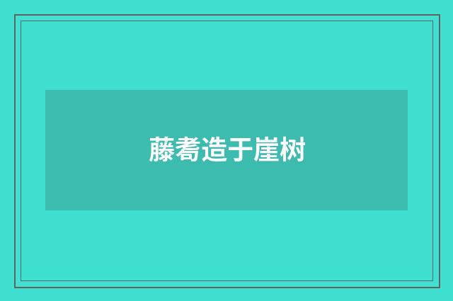 藤耈造于崖树