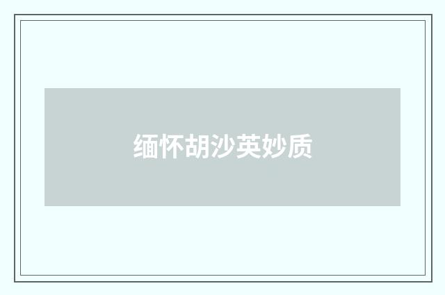 缅怀胡沙英妙质