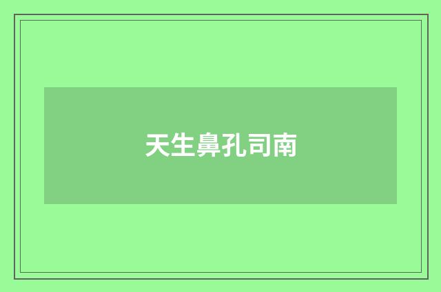 天生鼻孔司南