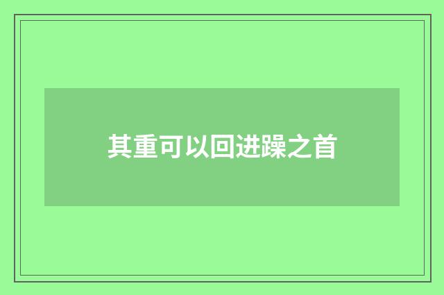 其重可以回进躁之首