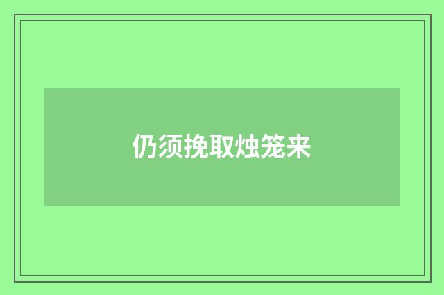 仍须挽取烛笼来